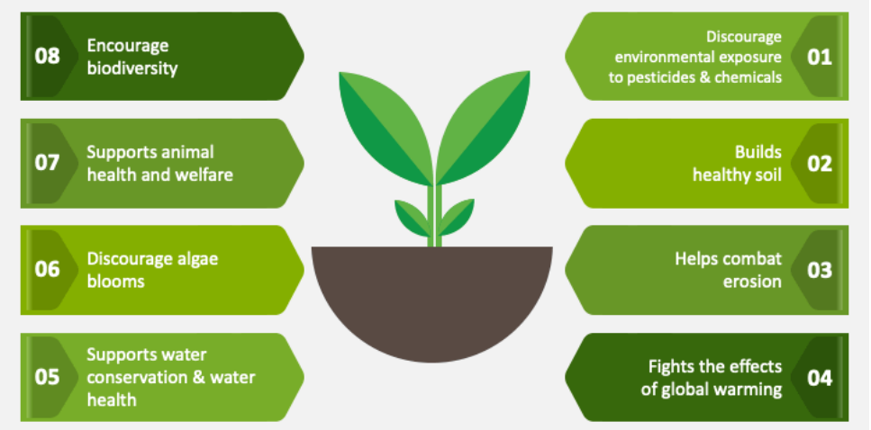 Concept of natural farming showing sustainable agriculture practices