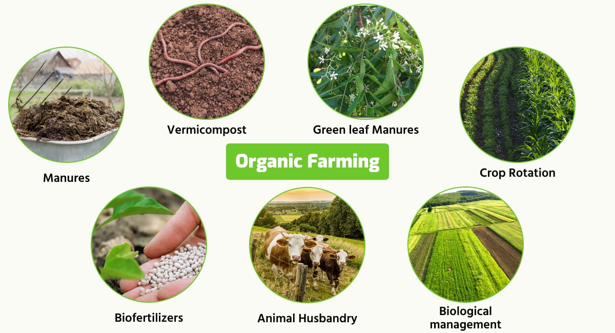 Organic farming practices for soil health and sustainable agriculture